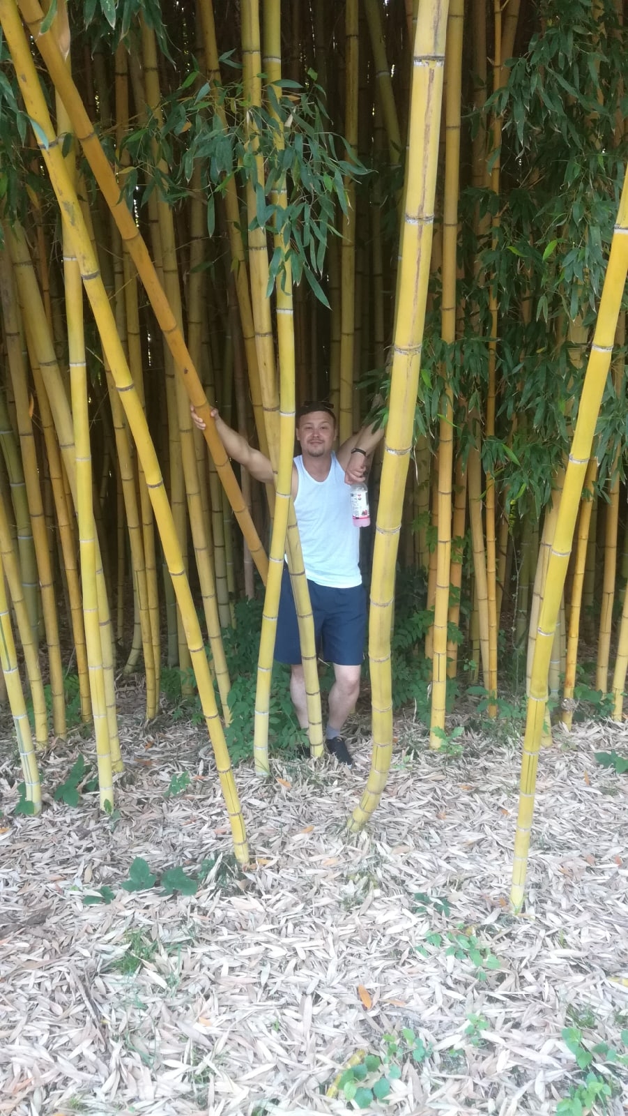 Автор RybinskLab