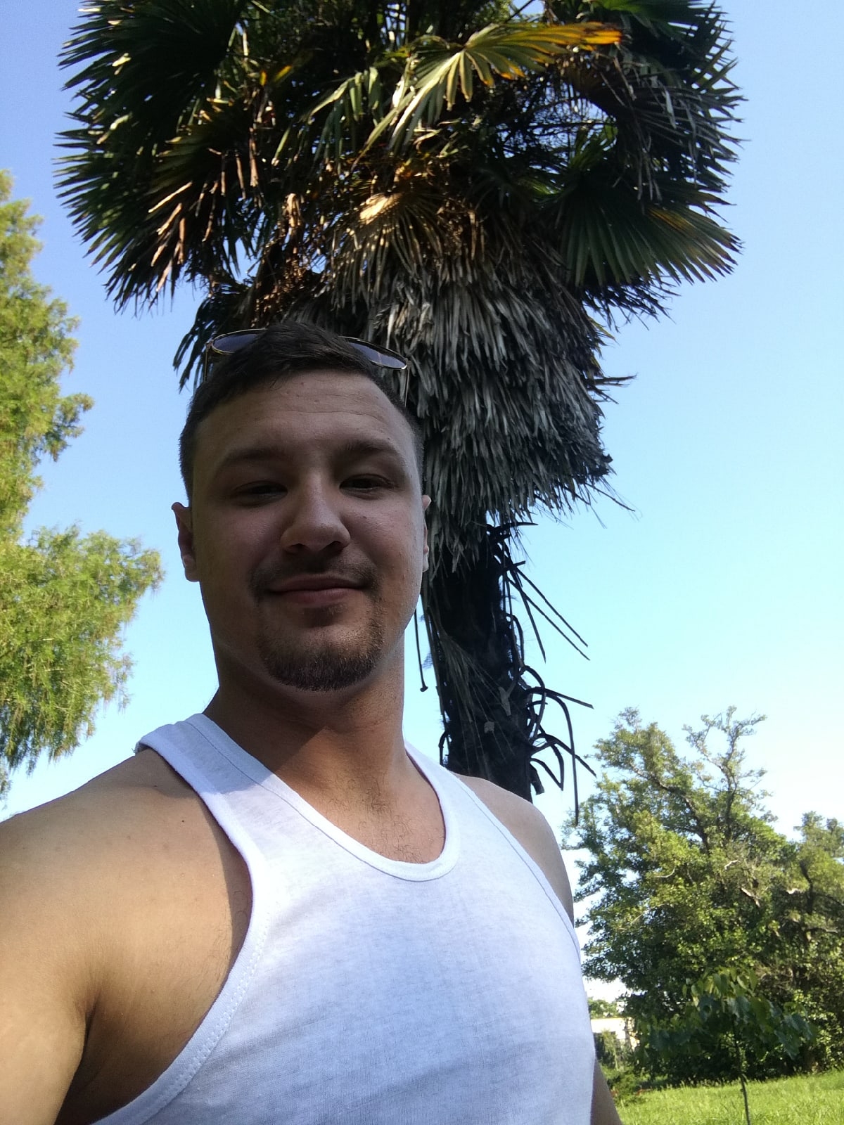 Автор RybinskLab